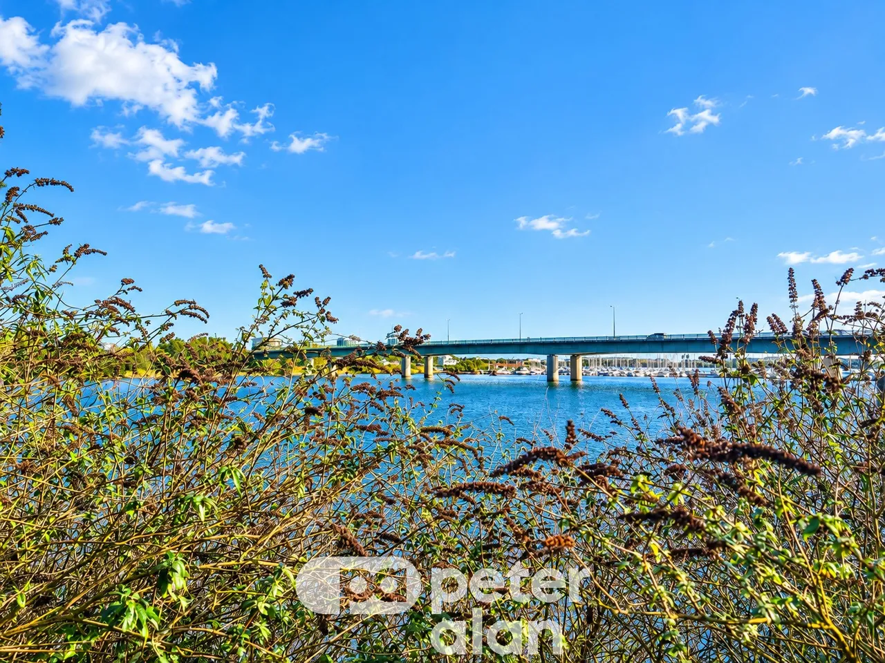 Seager Drive, Cardiff, CF11, photo 5