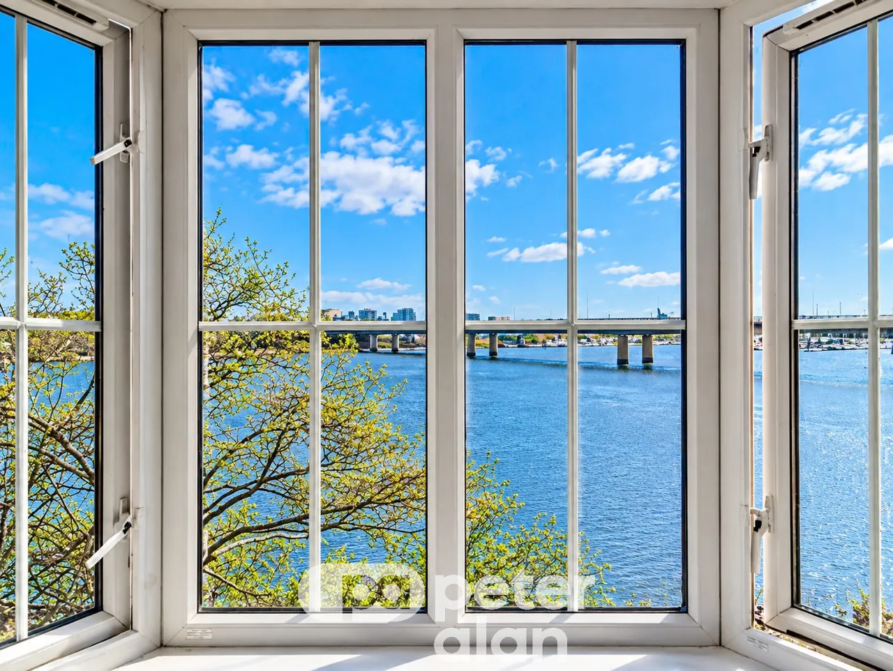 Seager Drive, Cardiff, CF11, photo 4