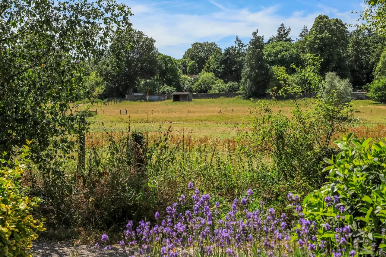 Orcheston, Salisbury, Wiltshire, SP3 4RG, photo 23