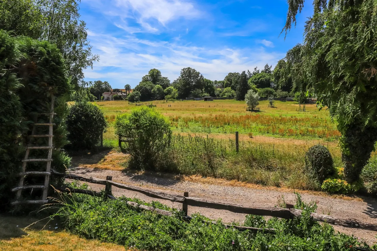 Orcheston, Salisbury, Wiltshire, SP3 4RG, photo 19
