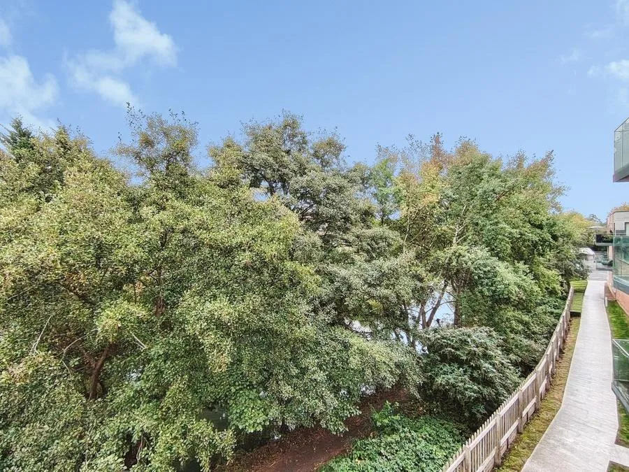 Berkeley Avenue, Reading, RG1, photo 14
