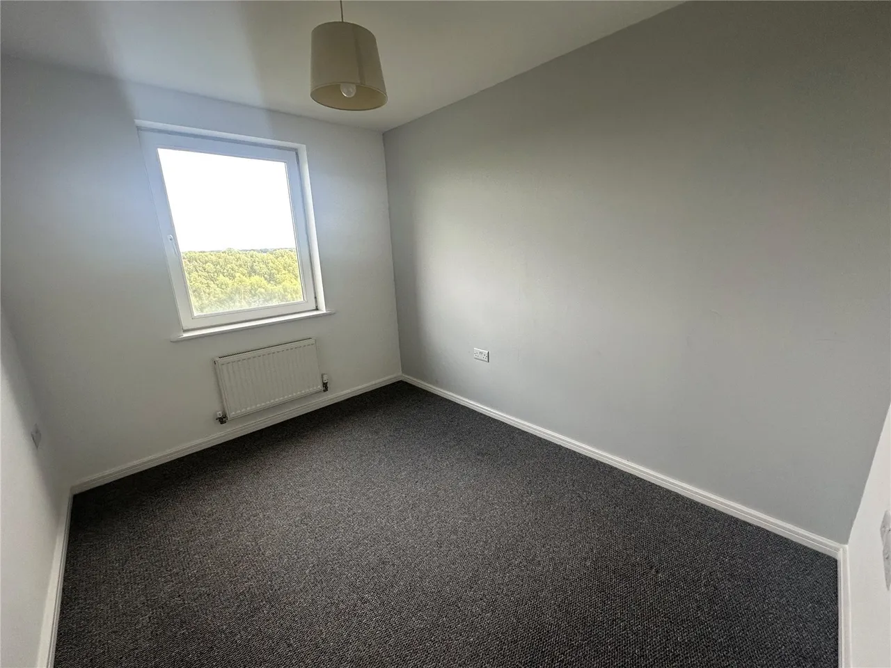 Lower Hall Street, St. Helens, WA10, photo 6