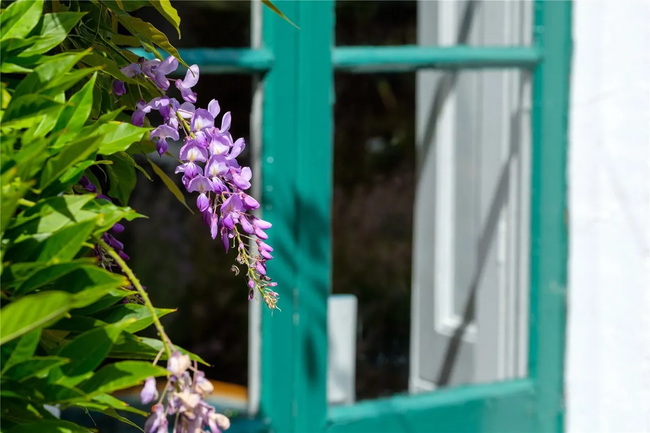 St. Andrews Road, Bridport, DT6, photo 51