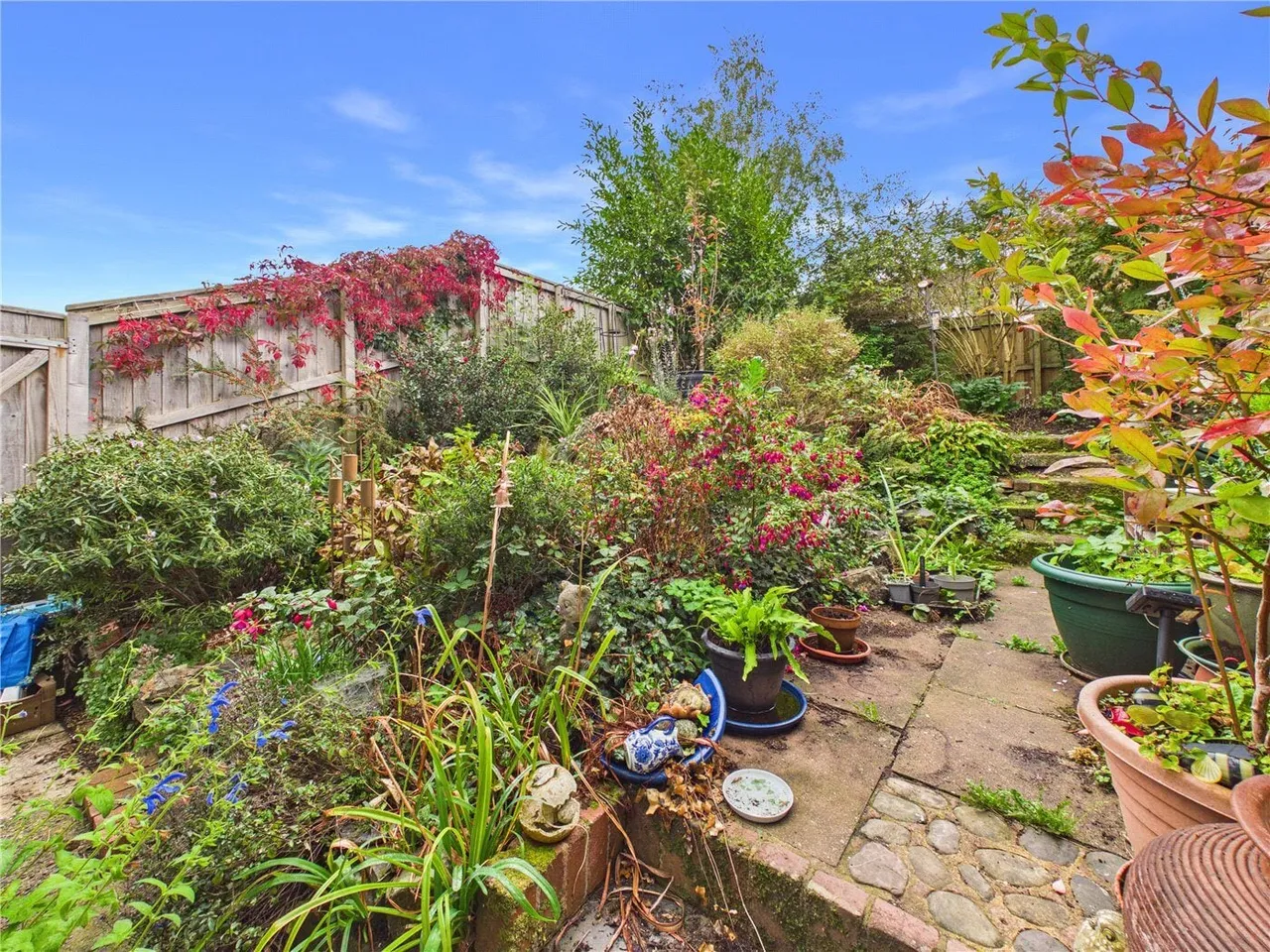 Temple Crescent, Tiverton, EX16, photo 15