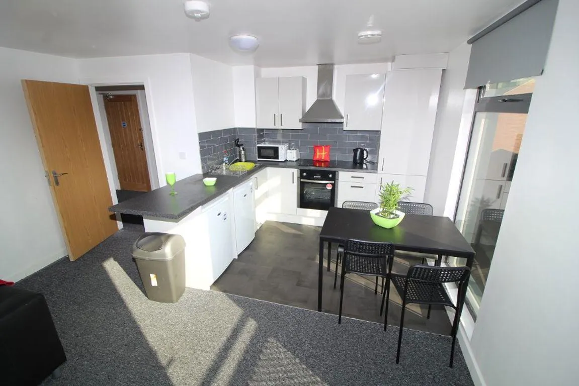 Infirmary Road, S6, photo 3