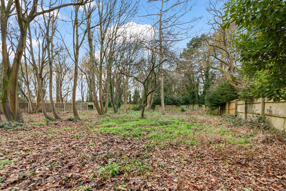 Westfield Road, Edgbaston Birmingham, B15, photo 17