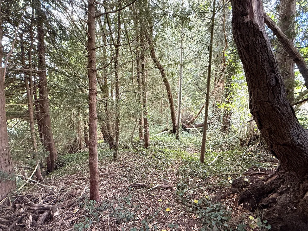 Pont Robert, Meifod, photo 23