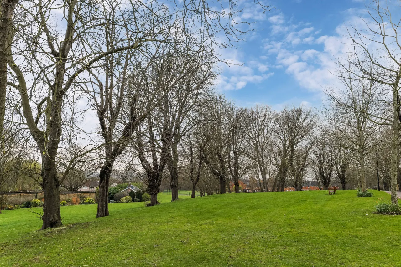 Shooters Hill Road, London, SE18, photo 11