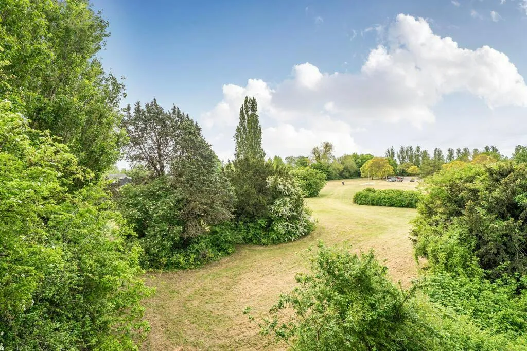 Belle Vue, Rye, TN31, photo 14
