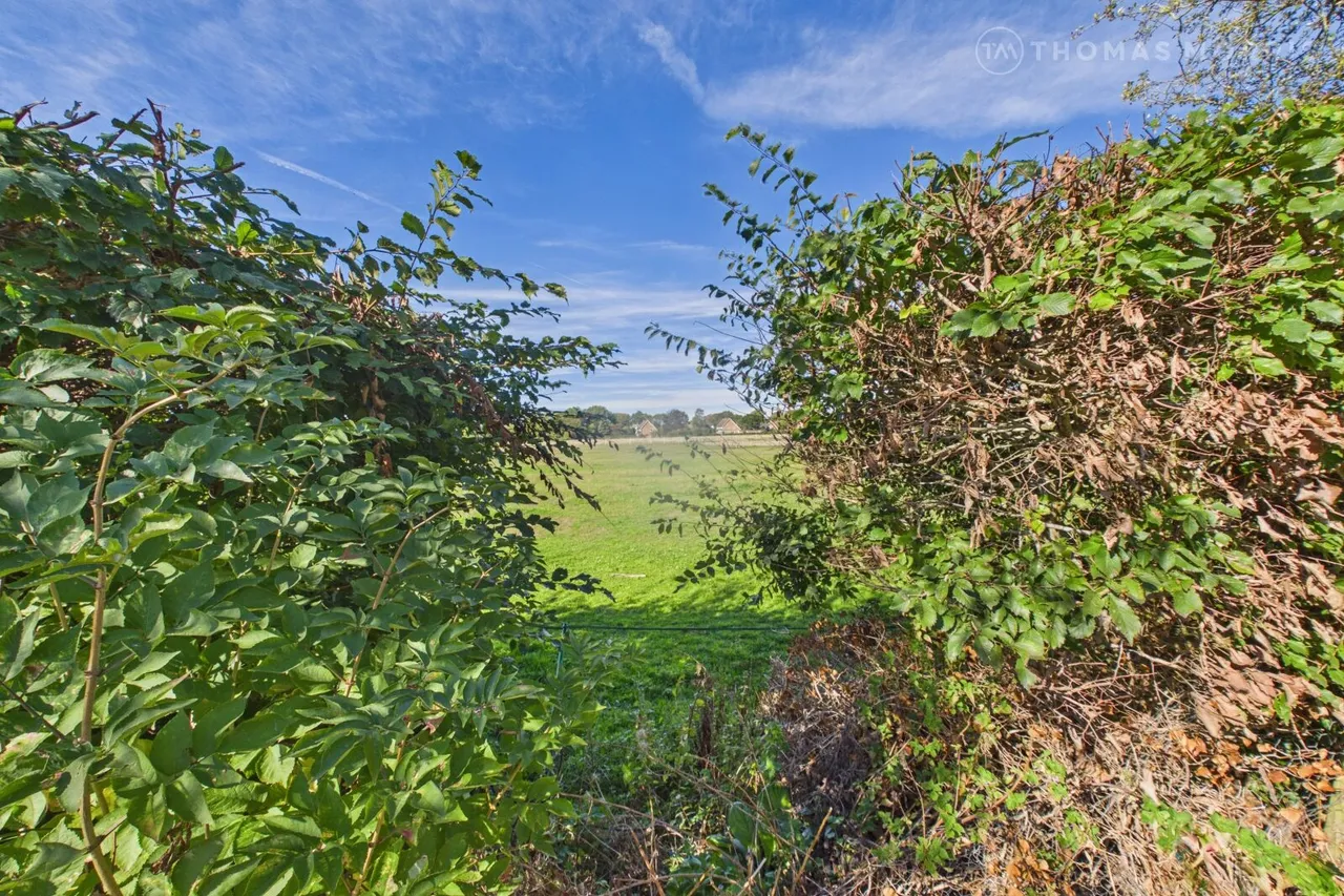 Westmeare, Hemingford Grey, PE28, photo 12