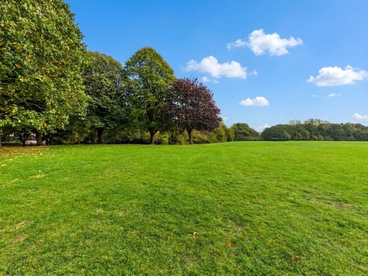 Cooperage Road, Redfield, BS5, photo 20
