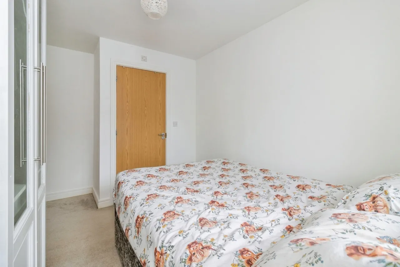 White Rock Close, Paignton, TQ4, photo 11