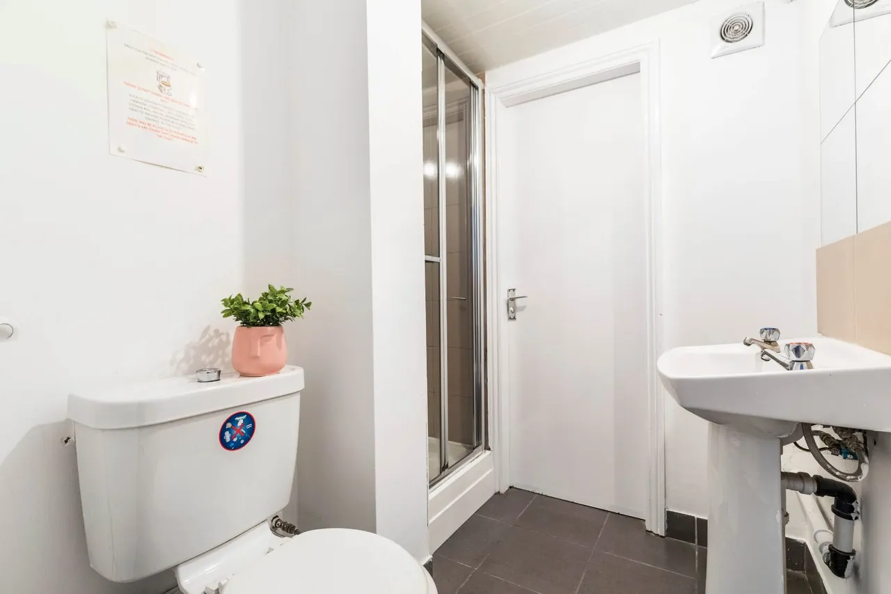 Langdale Terrace, Headingley, LS6, photo 7