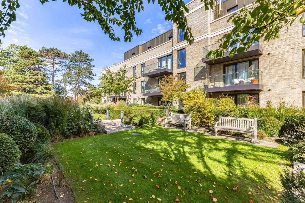 Daffodil Crescent, Barnet, EN4, photo 16