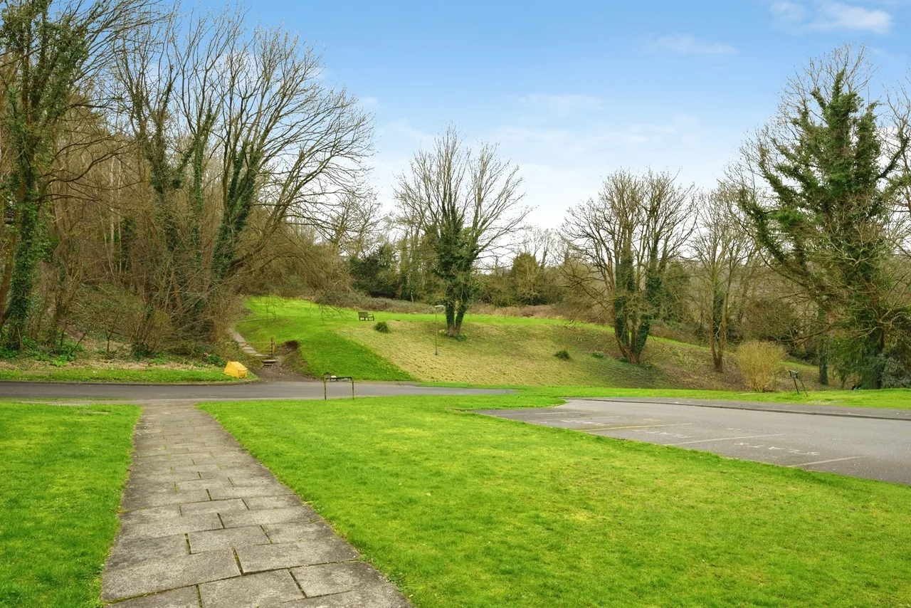 Hillside Road, Whyteleafe, Surrey, CR3, photo 9