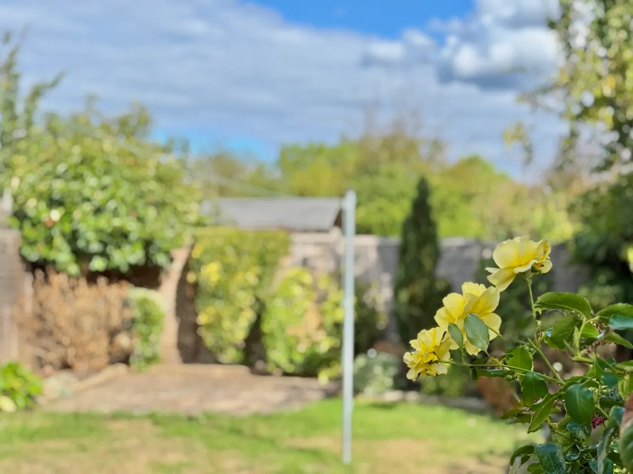Gardner Road, Ringwood, BH24, photo 11