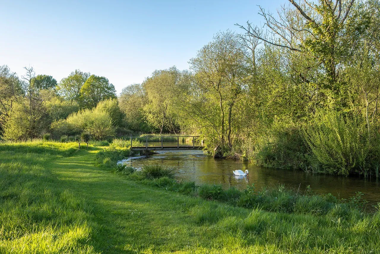 Bransbury, Barton Stacey, SO21, photo 16