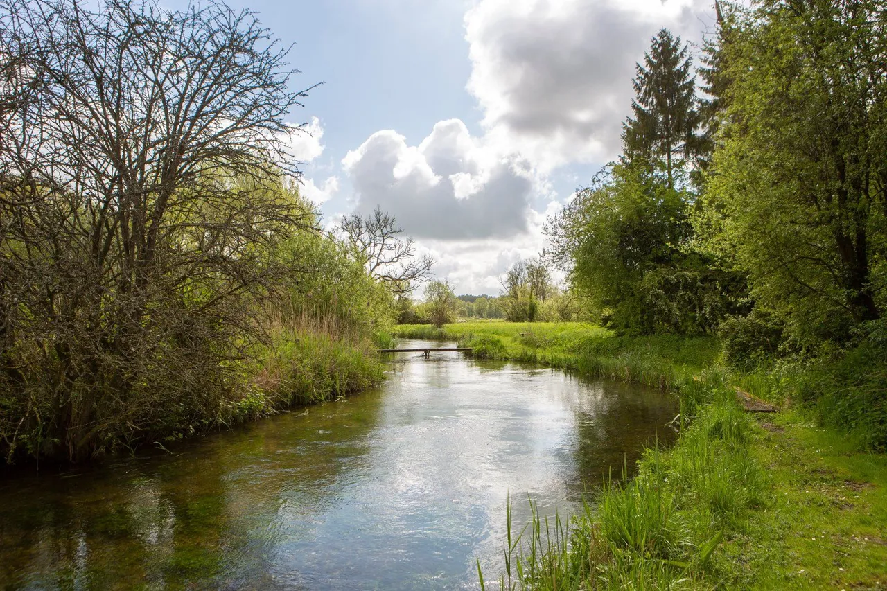Bransbury, Barton Stacey, SO21, photo 15