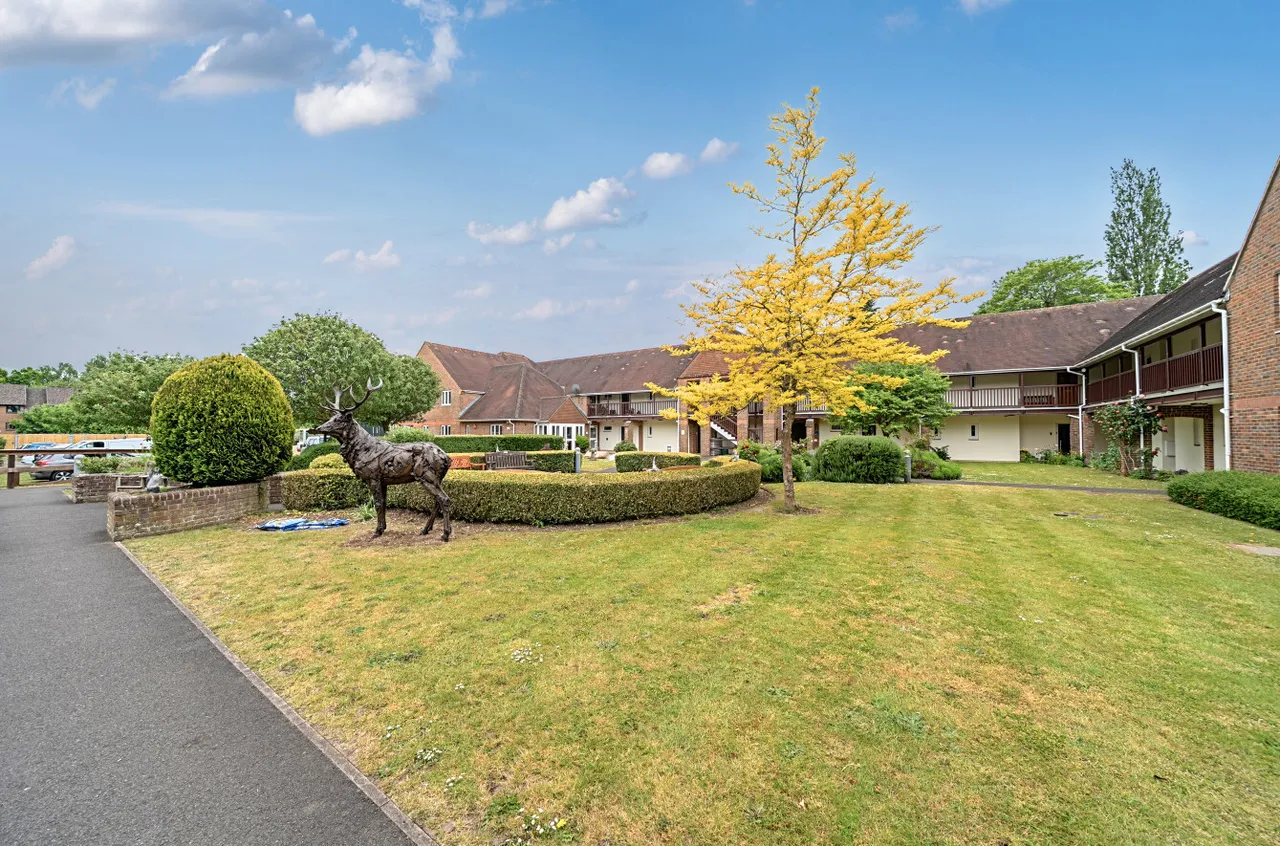 Adams Way, Alton, GU34, photo 10