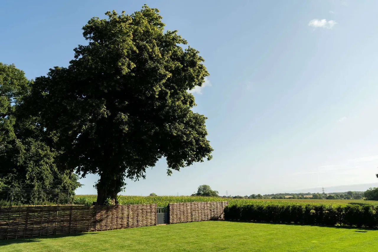 Reepham Road, Little Witchingham, NR9, photo 9