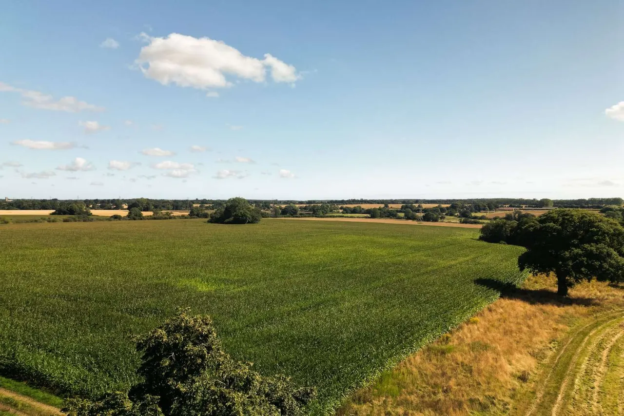 Reepham Road, Little Witchingham, NR9, photo 7