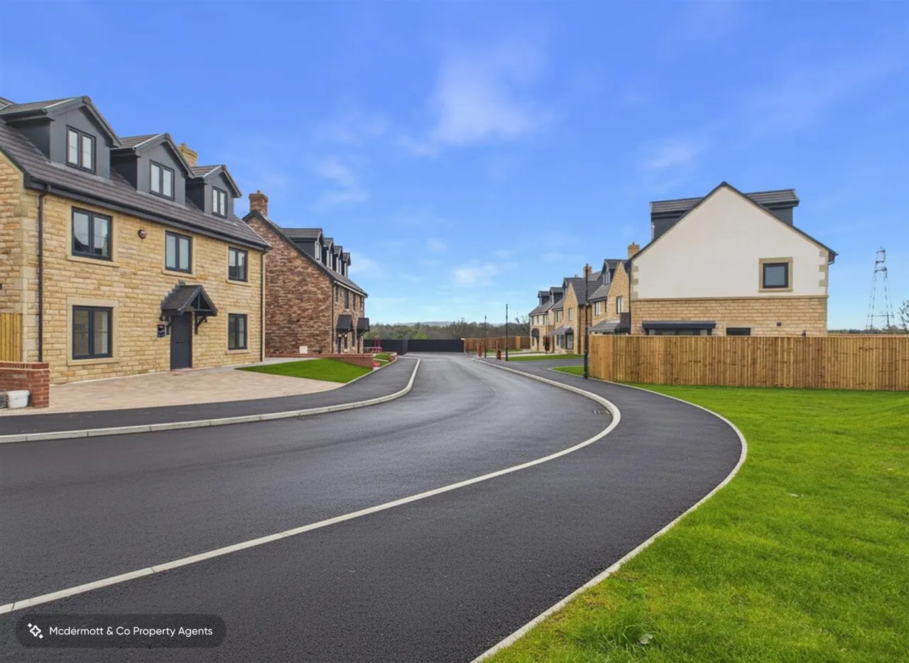 The Birch, Bluebell Meadows, M35, photo 3