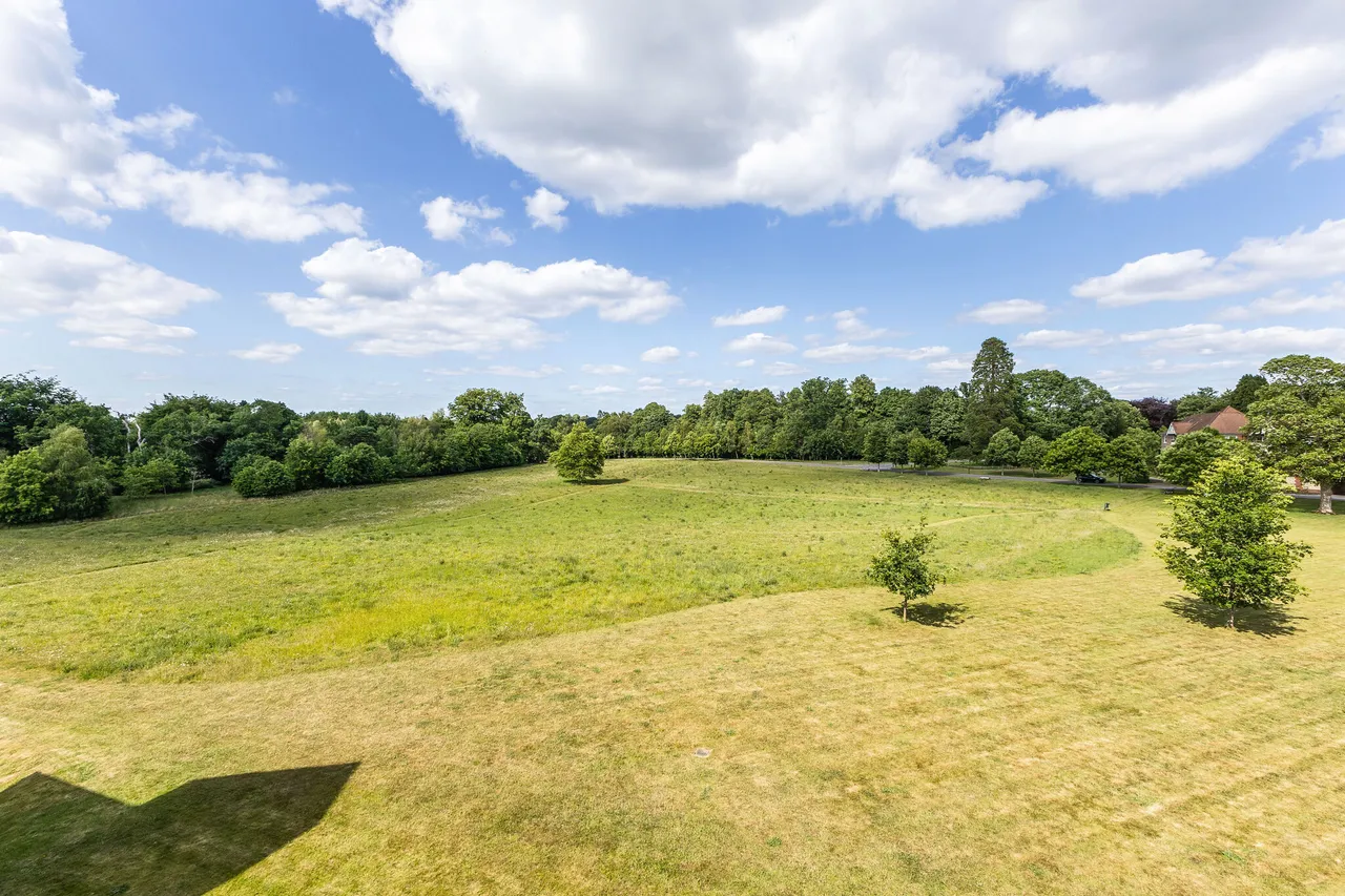 Tudor Court, Liphook, GU30, photo 8
