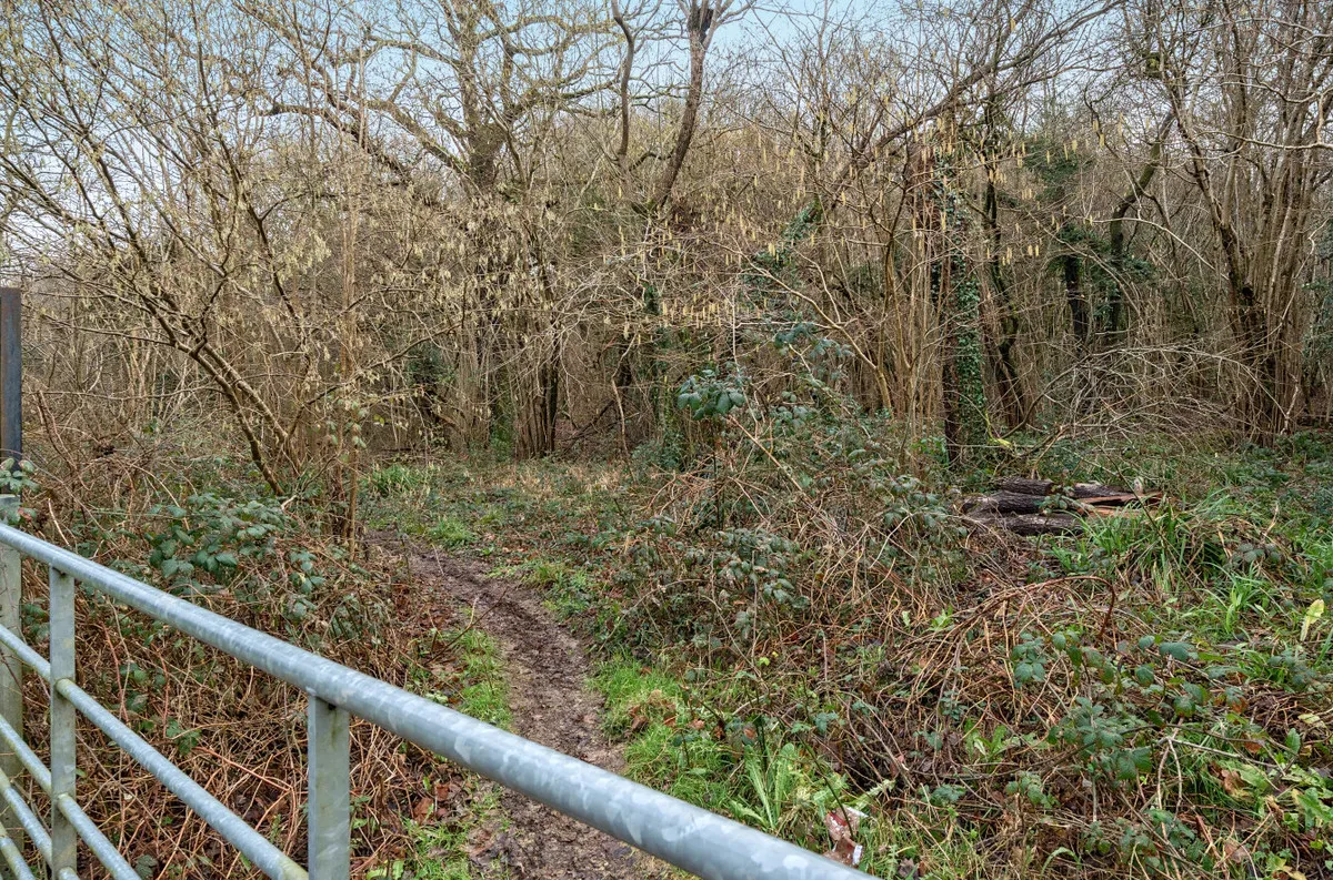 Billingshurst, RH14 9XE, photo 11