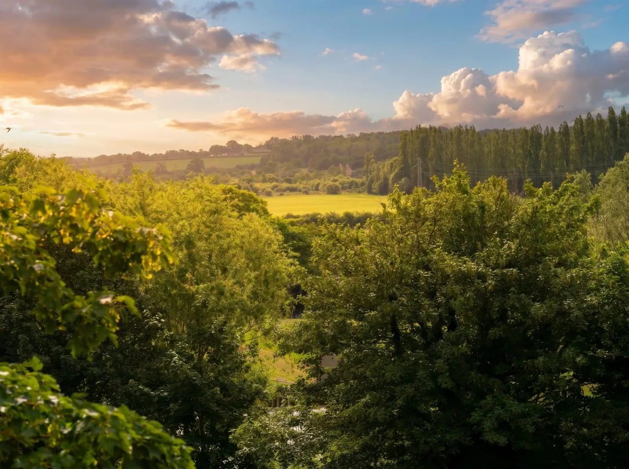Barley Ridge Gardens, Priory Road, PE9, photo 8