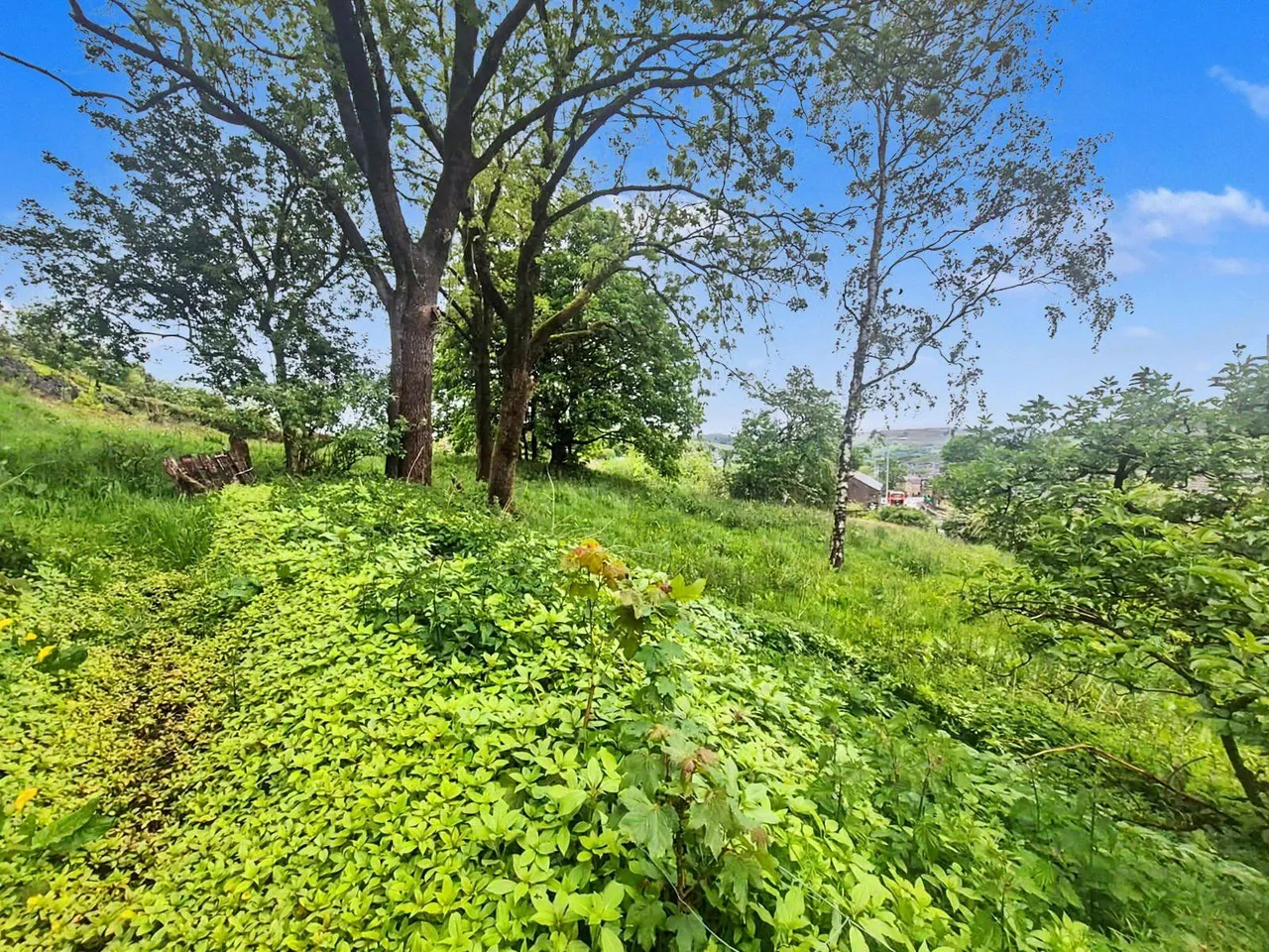 Stamford Street, Mossley, OL5, photo 8