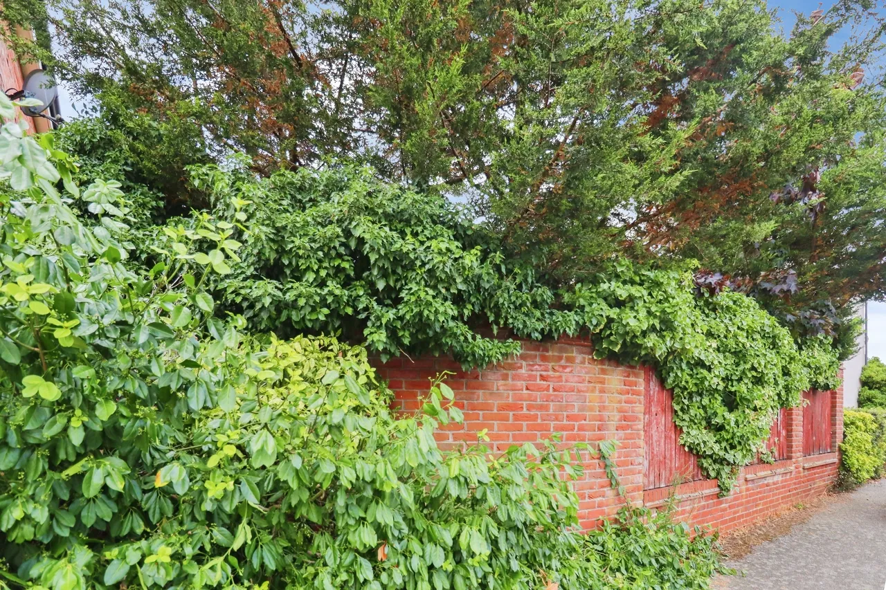 Orwell Avenue, Saxmundham, IP17, photo 5