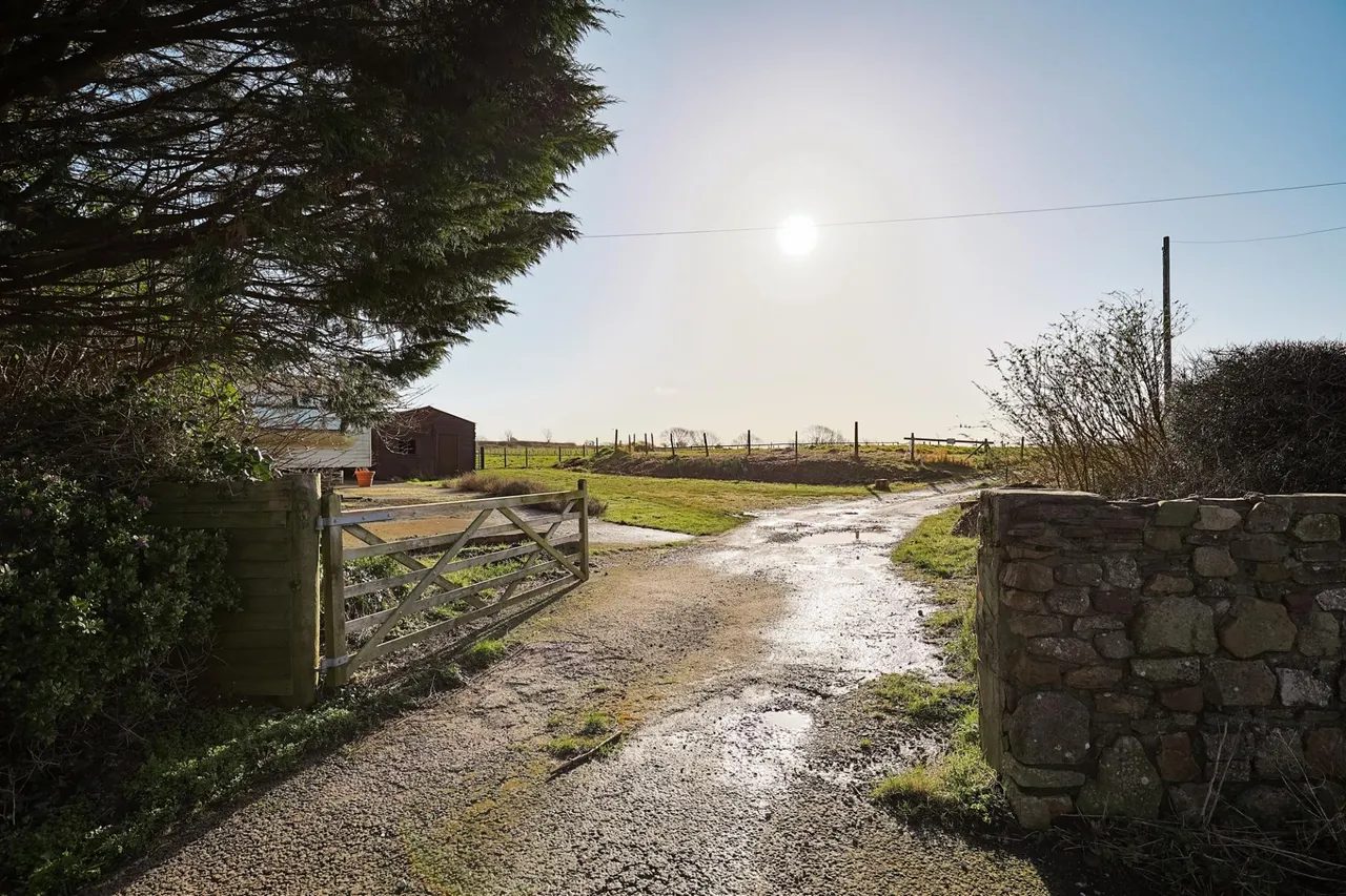 The Rickfield, Bishopston, photo 9