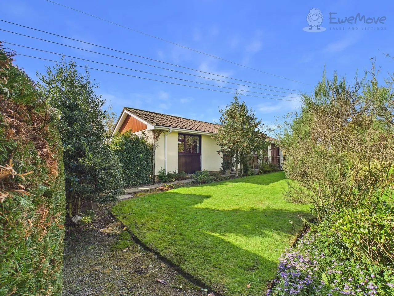 West Park, South Molton, EX36, photo 15