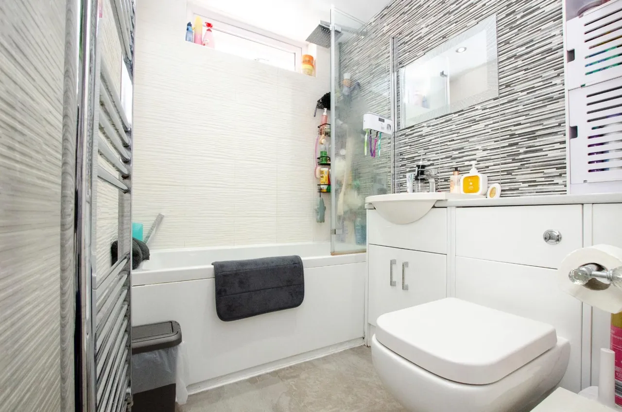 Ash Tree Road, Bitterne Park, Southampton, Hampshire, SO18 1LZ, photo 12