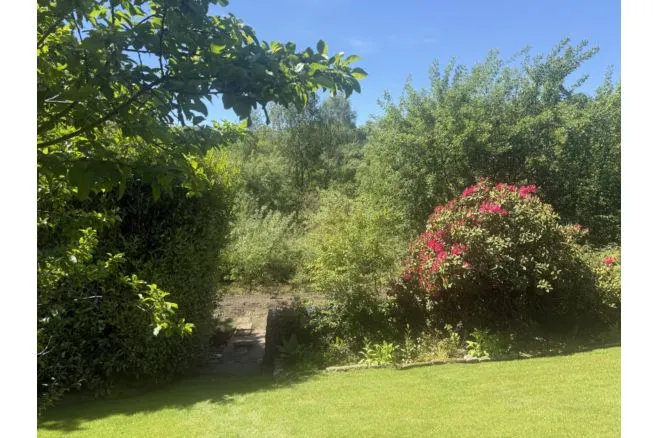 Shore, Littleborough, OL15, photo 57