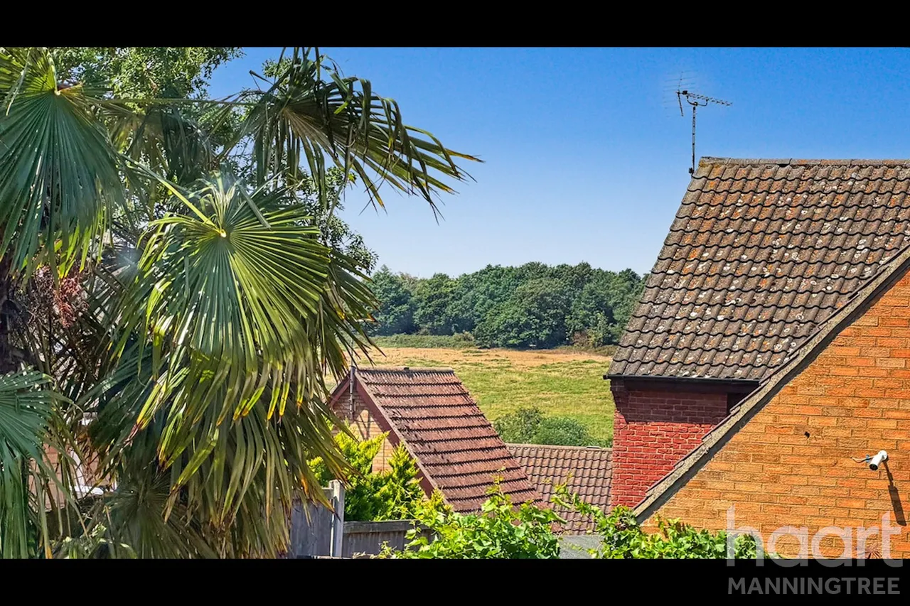 Cotman Avenue, Lawford, CO11, photo 5