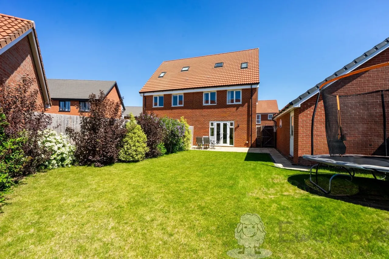 Saffron Avenue, Wymondham, NR18, photo 10