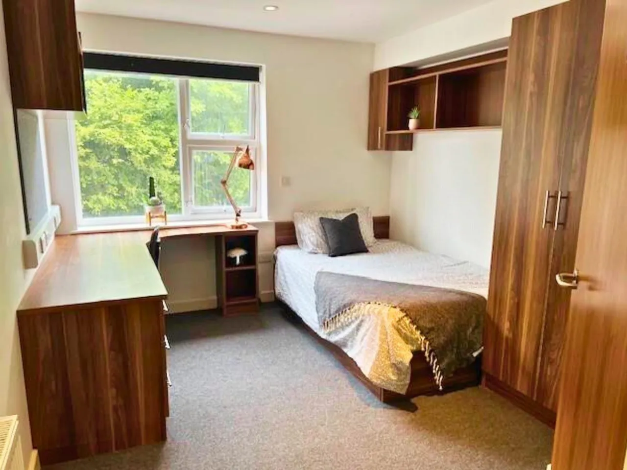 Peninsula Student Living, Derriford, photo 3