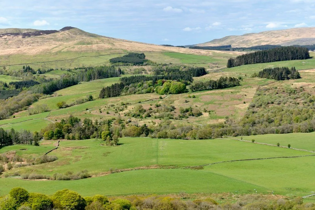 Murrayton Farm, Gatehouse Of Fleet, Castle Douglas, Dumfries & Galloway, DG7 2BN, photo 6