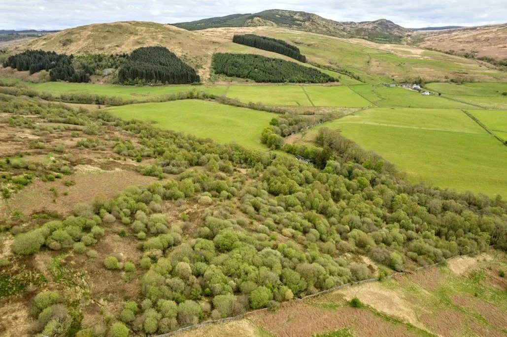 Murrayton Farm, Gatehouse Of Fleet, Castle Douglas, Dumfries & Galloway, DG7 2BN, photo 9