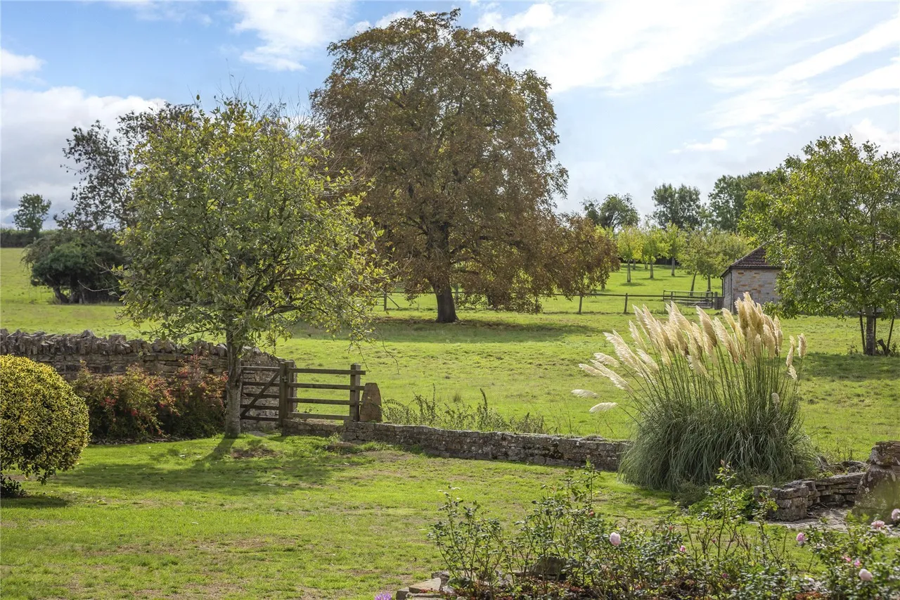 Long Sutton, Langport, TA10, photo 12