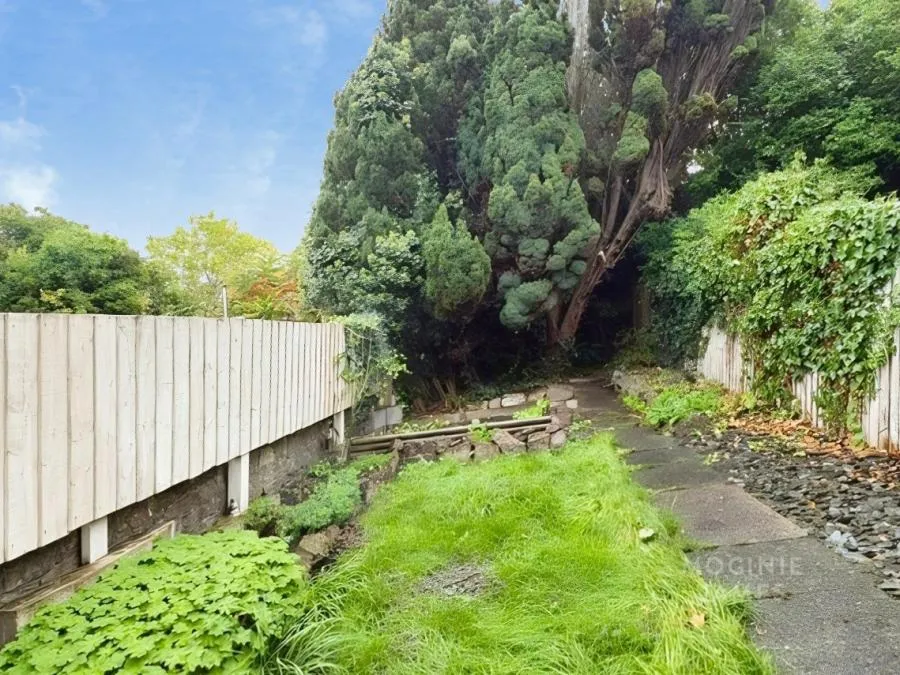Inverness Place, Roath, CF24, photo 11