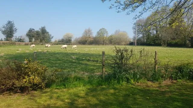 Ty Celyn, Winforton, HR3, photo 21