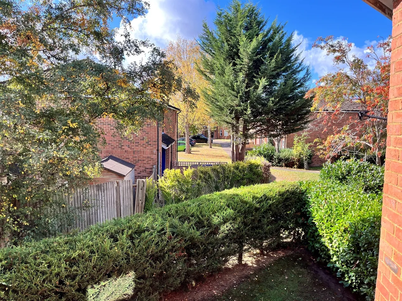 Bedwell Close, Welwyn Garden City, AL7, photo 16