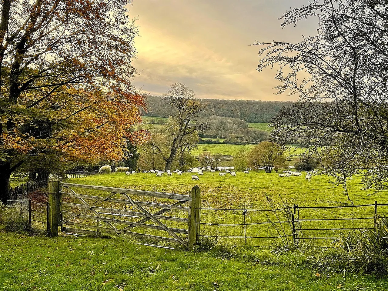Warleigh Manor, Warleigh, BA1, photo 20