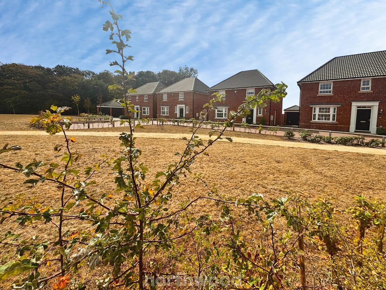 Woodland Crescent, Hatfield, DN7, photo 4