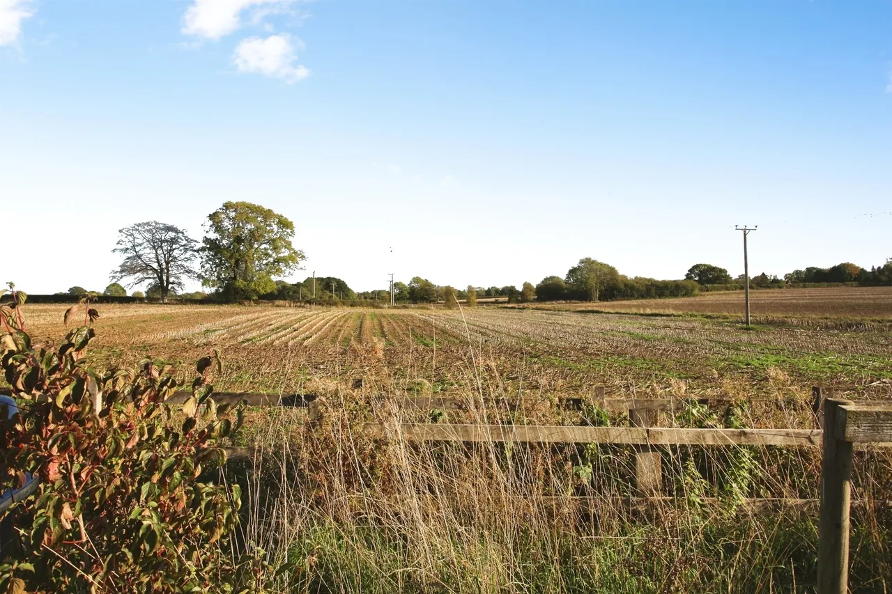 Trustees Close, Cawston, CV22, photo 21