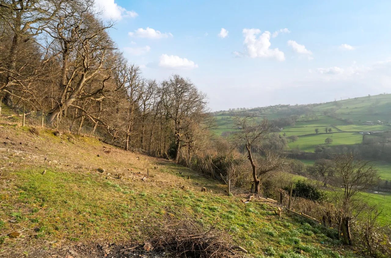 Chirk, Wrexham, photo 28