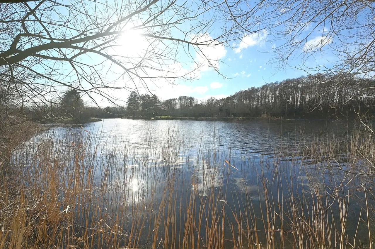 Lake Avenue, Mytchett, GU16, photo 13