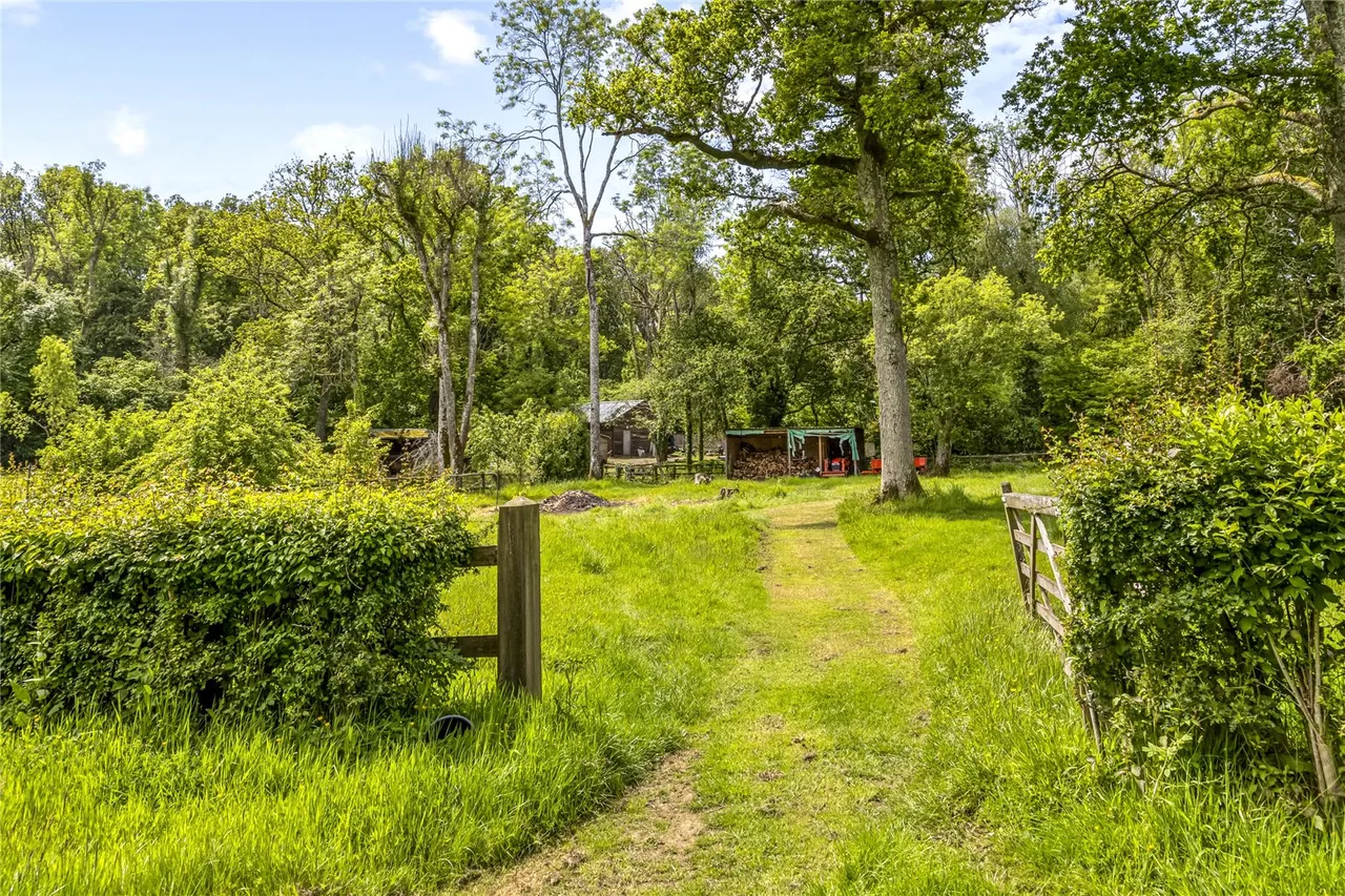 Dye House Lane, Duncton, GU28, photo 28